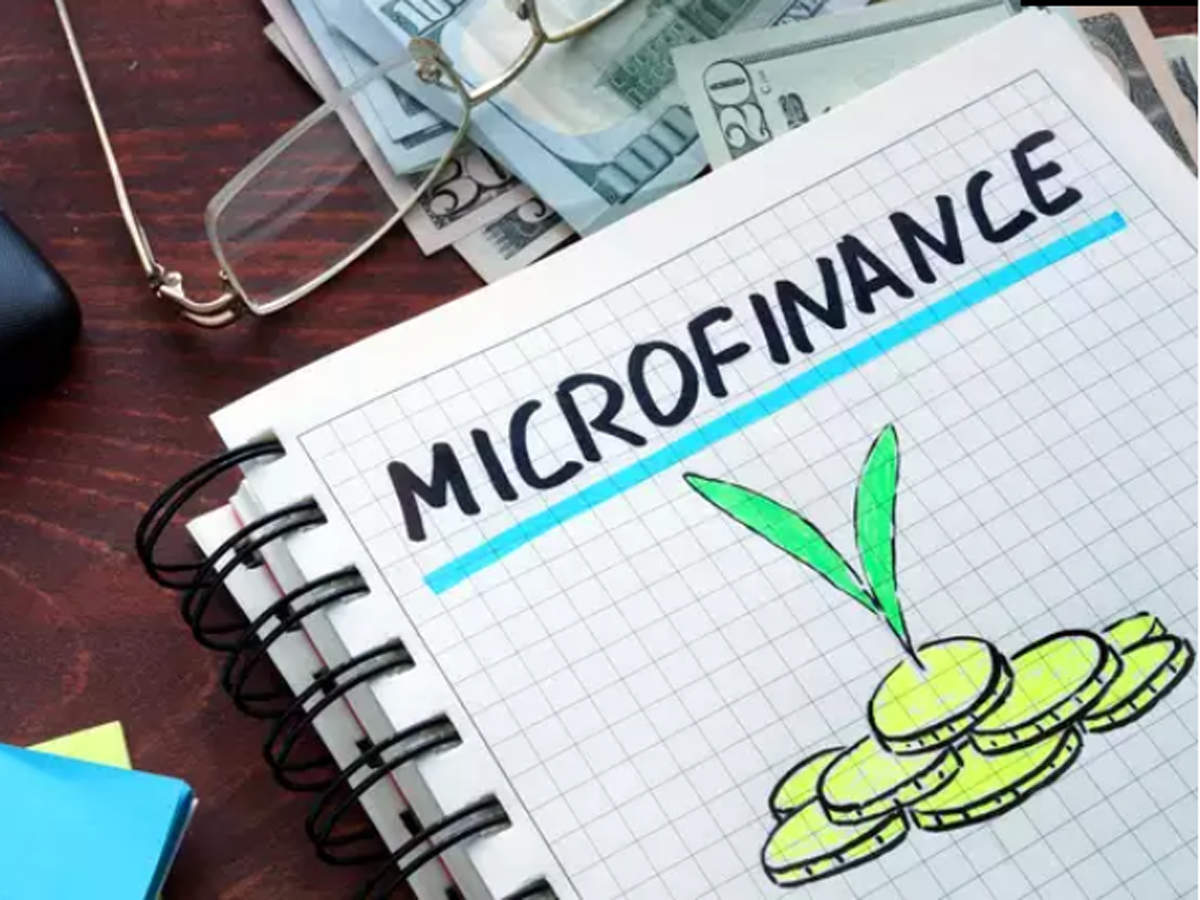 Microfinance investment