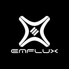 Emflux Motors Two Wheeler Loan