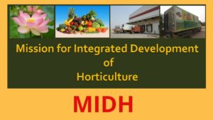 Mission for Integrated Development of Horticulture